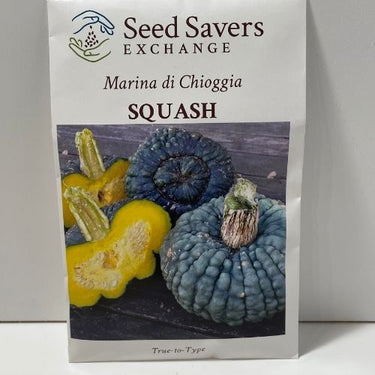 Marina di Chioggia Squash Heirloom Open Pollinated Seeds